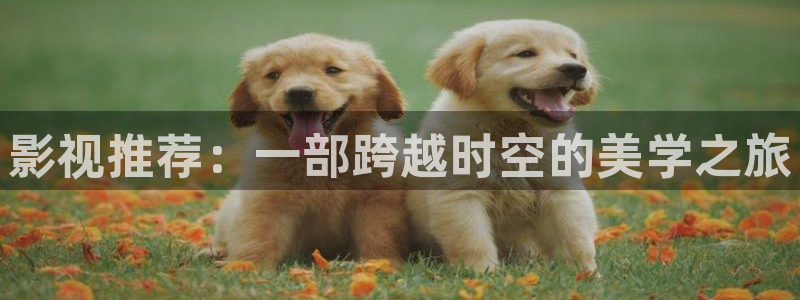 老湿影院视度