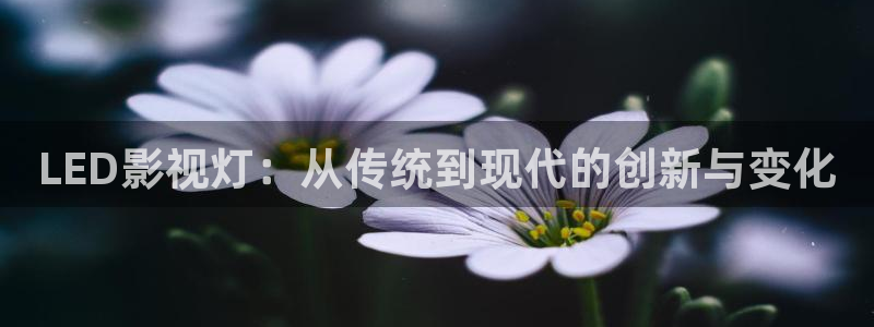 老湿影院免费看十分钟