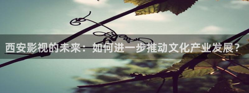 老湿影院福利：西安影视的未来：如何进一步推动文化产业发展？