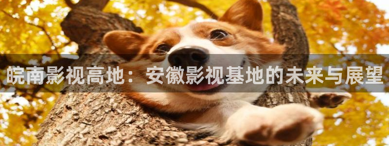 老湿影院久久：皖南影视高地：安徽影视基地的未来与展望