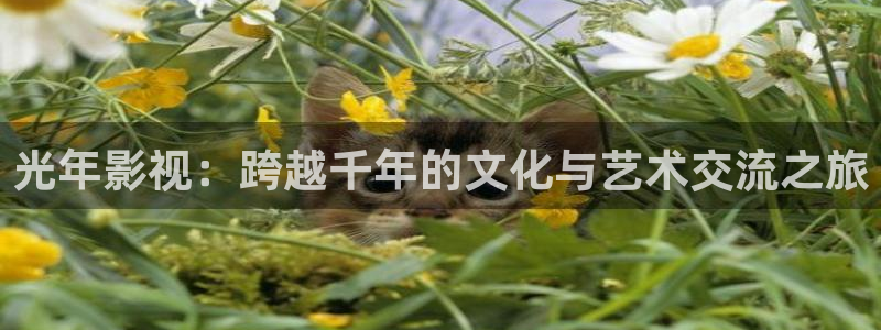 老湿新影院女生：光年影视：跨越千年的文化与艺术交流之旅