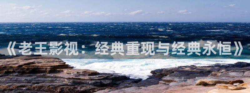 老湿看电影