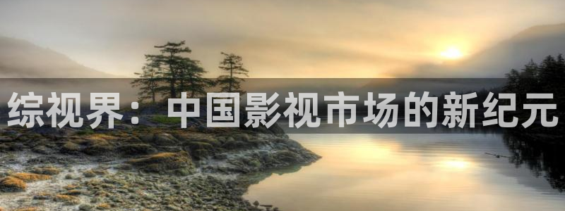 老湿影院未满十八岁：综视界：中国影视市场的新纪元