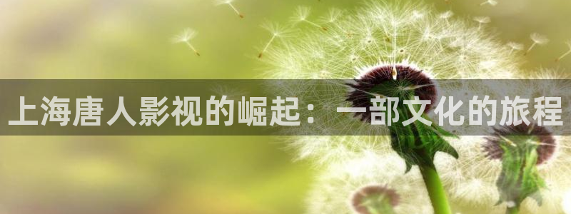 老湿影院毛片：上海唐人影视的崛起：一部文化的旅程