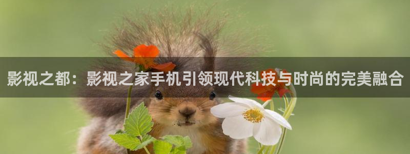 老湿影院免费看片：影视之都：影视之家手机引领现代科技与时尚的完美融合