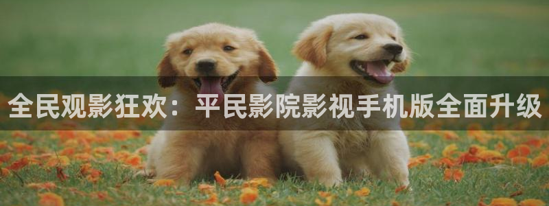 老湿电影院